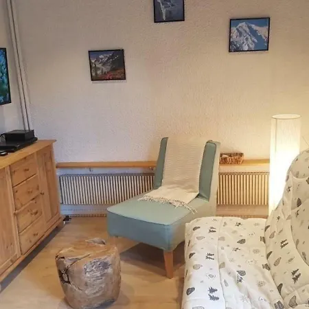 Agreable Et Cosy En Plein Coeur De 164 * Chamonix